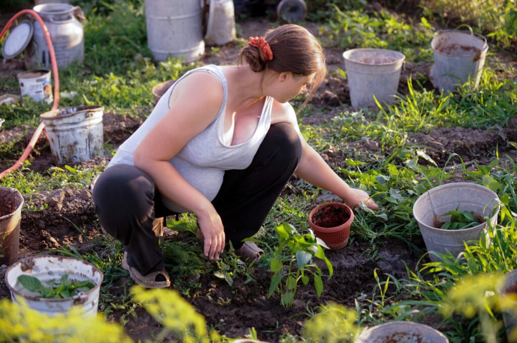 Pregnancy and Gardening