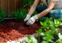 Diastasis Recti and Gardening