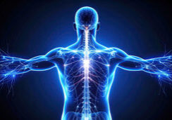 Spinal Health