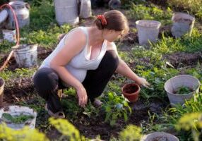 Pregnancy and Gardening